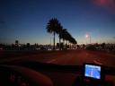 Miami by Night